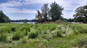 Clearing trees and brush from the site.