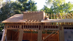 Roof sheeting continues over the Man Cave.